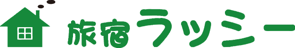 lassy logo s